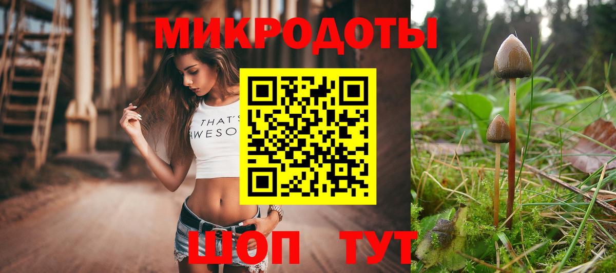 Тавда  Псилоцибиновые грибы Cubensis  Вход с VPN 