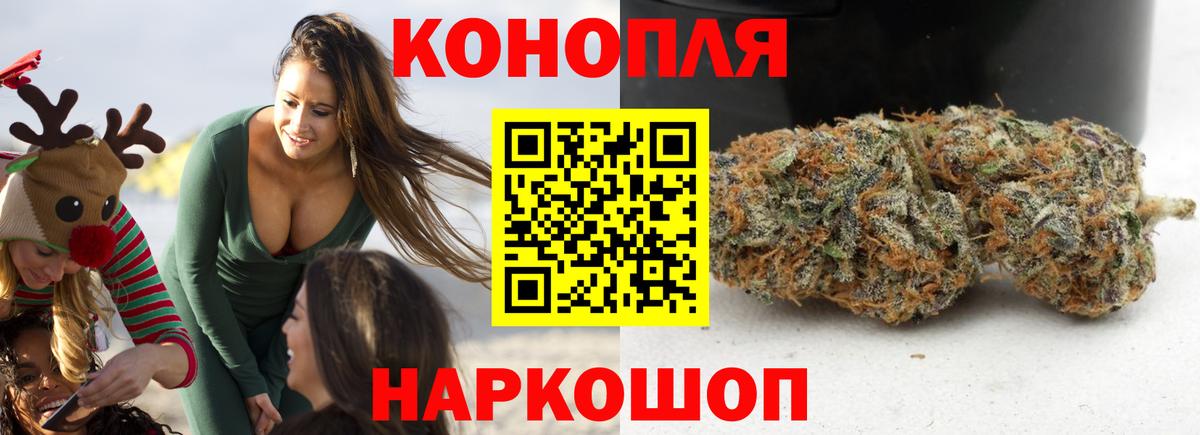 Марихуана Bruce Banner  Вход с VPN  Тавда  МАРИХУАНА тримм  Бошки марихуана Ganja 